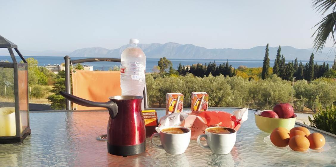 View Διαμερισμα Villa Loukissia ภายนอก รูปภาพ